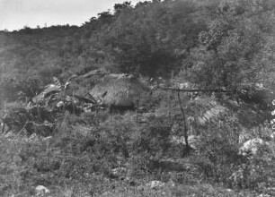 Am Weg : Hütten in einer vegetationsreichen Landschaft