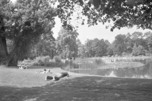 Sommertag im Schlossgarten