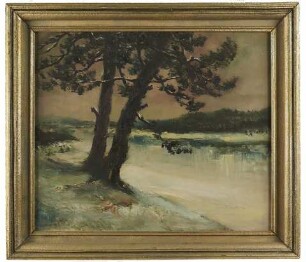 Winterlandschaft am Schluchsee