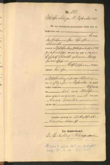 Standesamtsbuch der Stadt Aschaffenburg: Geburten 365/1900 - 184/1901