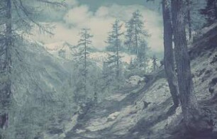 Mittenwald/Karwendel. Wanderweg in den Alpen