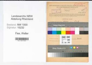 Entnazifizierung Walter Fies, geb. 17.06.1912 (Weber)