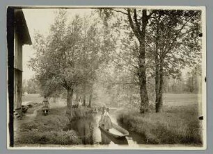 Spreewald bei Burg