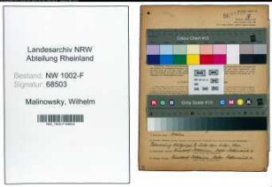 Entnazifizierung Wilhelm Malinowsky, geb. 01.10.1907 (Bankangest.)