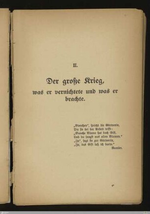 II. Teil: Der große Krieg