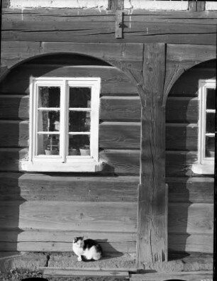 Sohland an der Spree, Hainspacher Straße 12. Wohnhaus (Umgebindehaus; ehemals Nummer 545). Fenster im Umgebindeteil. Ansicht mit Katze