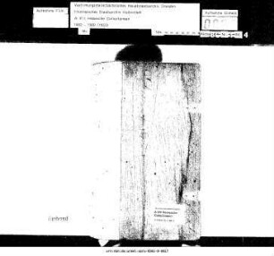 Diplomata Archivi Arnstadtiensis (Documenta Arnstadtiensia) [Urkunden des Arnstädter Archivs oder Arnstädter Urkunden]