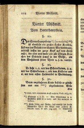 Vierter Abschnitt. Vom Hinterhauptbein.