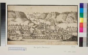 Ansicht von Wiesensteig