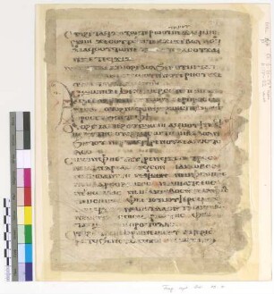 Lk. VI, 10 - 17