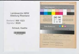Entnazifizierung Kaethe Schaub , geb. 30.09.1906 (Stenotyp.)