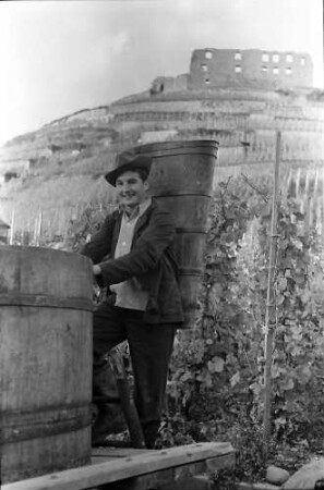 Staufen: Weinberg mit Ruine, Weinträger