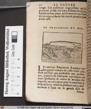 Le Crocodile du Nil.