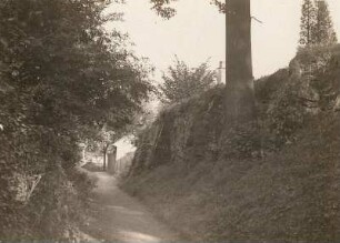 Sachsenburg (Frankenberg/Sachsen). Mordmauer und Spitzgraben des Friedhofes