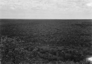 Landschaftsaufnahme : Blick auf eine bewaldete Fläche nahe Nioaque.