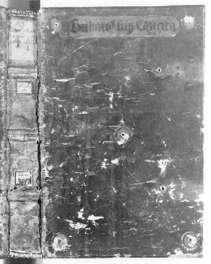 Bernardi abbatis Clarevallensis sermones super Cantica canticorum - BSB Clm 3017