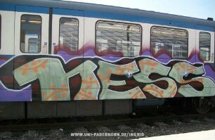 nESS
