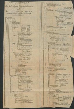 Tabula Synoptica