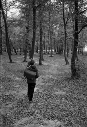 Herbststimmung