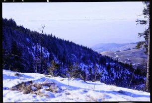 Schauinsland: Vogesenblick vom Schauinsland