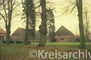 Blumendorf: Gut: Scheunen mit Reetdach: Blick von Westen