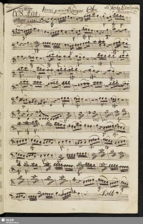 608. Aria: Vorrei punirti indegno / Naumann, J.G.