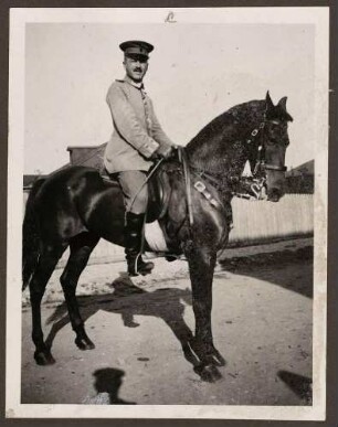 Haidlen, Manfred, Dr.