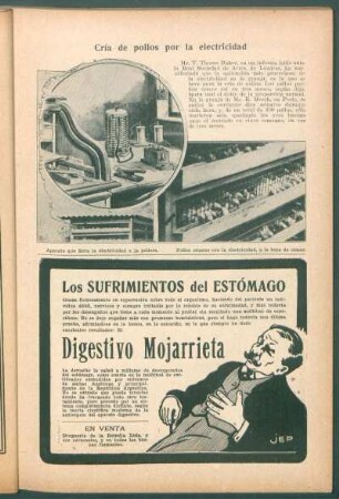 Cría de pollos por la electricidad