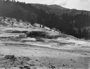 Mammoth Hot Springs : Sinterterrassen von Mammoth Hot Springs im Yellowstone-Nationalpark