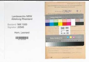 Entnazifizierung Leonard Horn, geb. 07.12.1890 (Amtsrat)