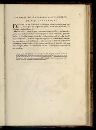 De XXXI. Afbeelding