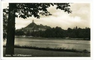 Borna. Teich und Realgymnasium