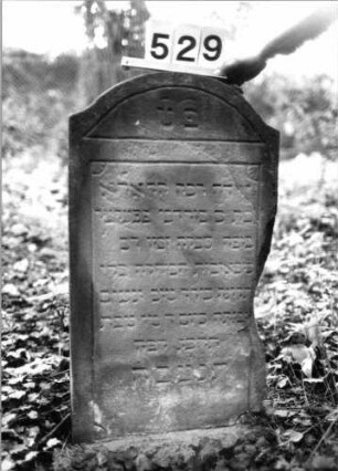 Grabstein 529 (Index: 99802722) Material: Sandstein Zustand: seitl. bgebroch/leicht verwittert Maße HxBxT: 87x45x7 cm Beschreibung: Stele mit Karniesbogen und profiliertem Rand: Grabstein 529