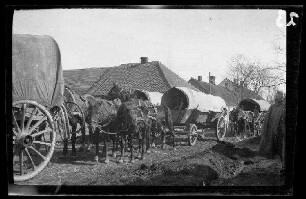 Wirballen (=Virbalis, Litauen): Planwagen-Gespanne auf einer Ortsstraße ("Fahrzeugkolonne in Wirballen")