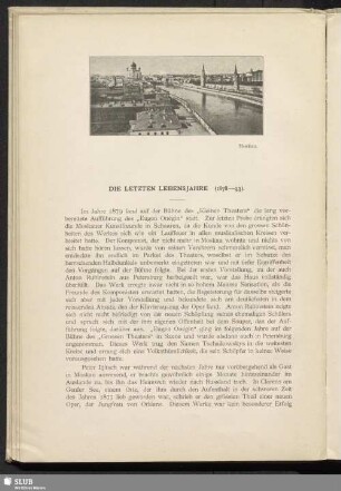 Die letzten Lebensjahre (1878-93)