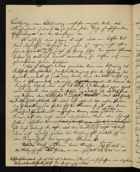 Entwürfe zu Veröffentlichungen über die Tendaguru-Expedition 1911