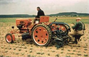 Fotografie: Zuckerrübe, Hackmaschine, Heckanbau