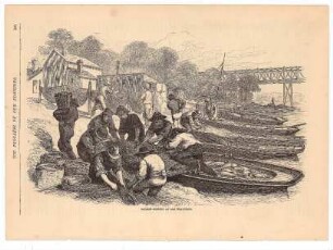 The Progress of our Fisheries: Salmon-Fishing at San Francisco