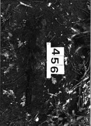 Grabstein 456 (Index: 99897129) Beschreibung: Fragment: Grabstein 456