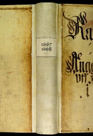 Ratsprotokolle, 1667 Juli 30. - 1668 Juli 24.