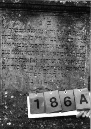 Grabstein 186 (Index: 99798419) Material: Sandstein Zustand: leicht verwittert Maße HxBxT: 110x50x12 cm Beschreibung: Stele mit Giebelabschluß un dseitlichen Akroteren, Sockel Symbolik: floral: Grabstein 186A