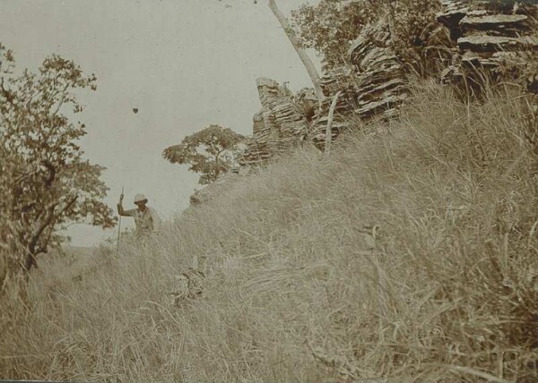 Hornsteinkalke auf den Kassukwe - Bergen