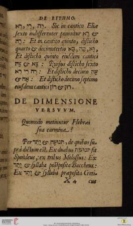 De dimensione versvvm