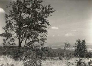 Sächsische Schweiz. Auf dem Großen Zschirnstein