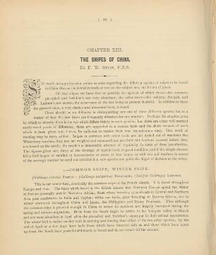 Chapter XIII. The snipes of China.