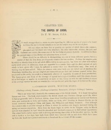 Chapter XIII. The snipes of China.