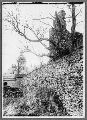 Ruine der Burg Frauenstein mit Blick auf Schloss Frauenstein