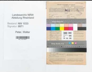 Entnazifizierung Walter Peter , geb. 19.02.1921 (Landwirt)