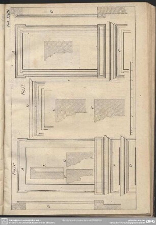 Tab. XXIII