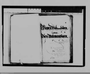 Margarethe von Waldmannshausen, geb. von Molsberg, Witwe des Dietrich von Waldmannshausen ./. Familien von Waldmannshausen: Nachlass und Leibzucht